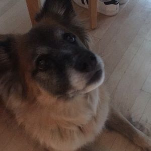 Meet your Posher, Beatrice